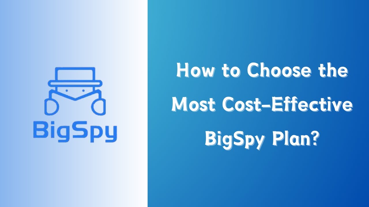 How to Choose the Right 【Bigspy Plan】?