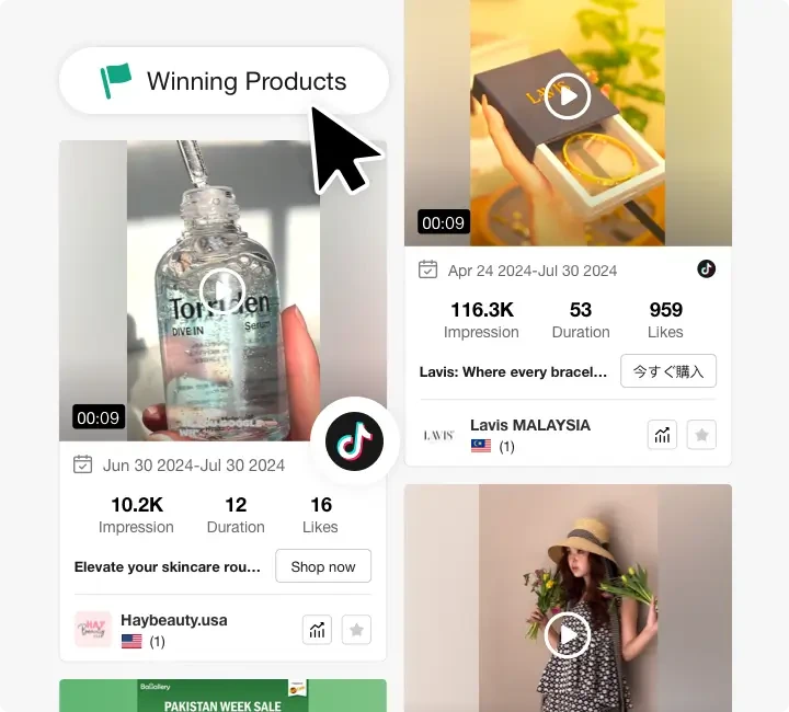 Ad Analytics by PiPiADS
