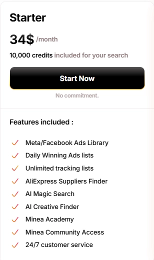 Minea Annual Starter Plan