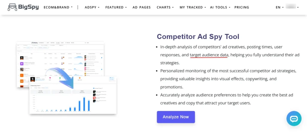 BigSpy Target Audience Analysis